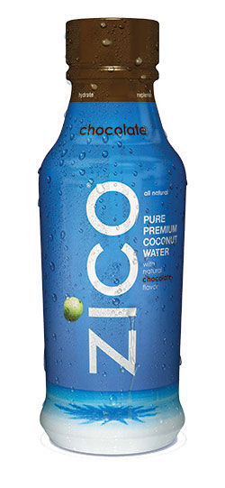 Healthy Smoothie Recipes with Kale using Zico